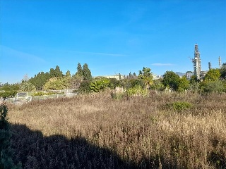 POLIGONO 11 10