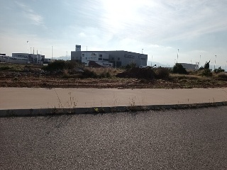 ROSA DELS VENTS 2