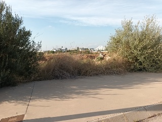 ROSA DELS VENTS 4