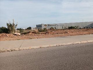 ROSA DELS VENTS 9