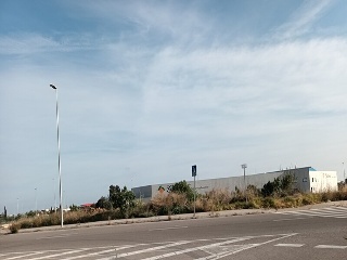 ROSA DELS VENTS 17