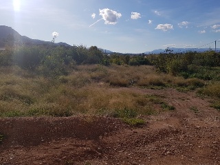CARRIL GONZALEZ 8
