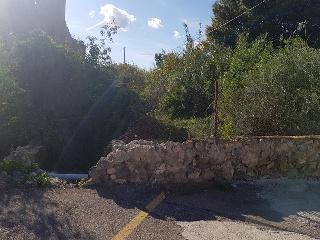 CARRIL GONZALEZ 9