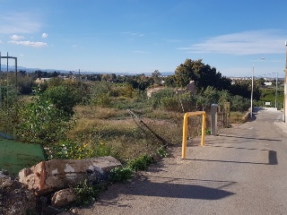 CARRIL GONZALEZ 11