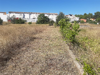 CALVARIO-PARCELA 4