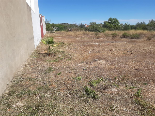 CALVARIO-PARCELA 10