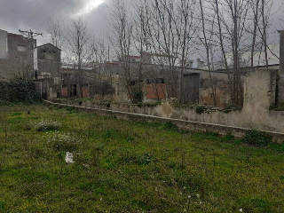 MOLINO DEL CASTELL 9
