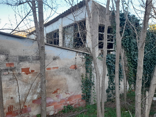 MOLINO DEL CASTELL 11
