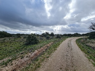 Polígono 20 Parcela 1 6
