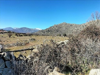 SURD/4 CUESTA DE LAS VIÑAS, POLIGONO 9 2
