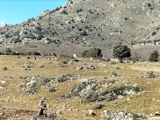 SURD/4 CUESTA DE LAS VIÑAS, POLIGONO 9 3