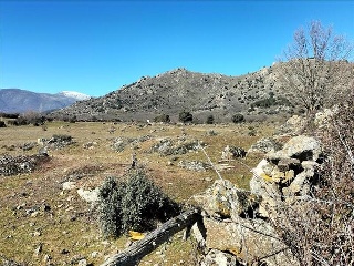 SURD/4 CUESTA DE LAS VIÑAS, POLIGONO 9 4