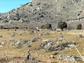 SURD/4 CUESTA DE LAS VIÑAS, POLIGONO 9 5