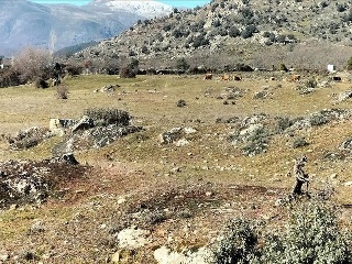 SURD/4 CUESTA DE LAS VIÑAS, POLIGONO 9 6