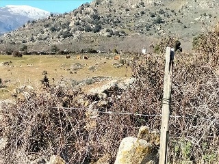 SURD/4 CUESTA DE LAS VIÑAS, POLIGONO 9 7