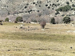 SURD/4 CUESTA DE LAS VIÑAS, POLIGONO 9 8