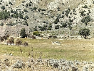 SURD/4 CUESTA DE LAS VIÑAS, POLIGONO 9 10