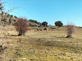 SURD/4 CUESTA DE LAS VIÑAS, POLIGONO 9 11
