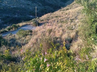 CL Albacete. Sierra Perenchiza 5