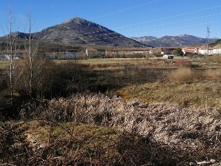 TORRES 7
