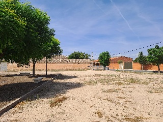 BOLAÑOS 7