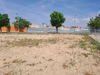 BOLAÑOS 8