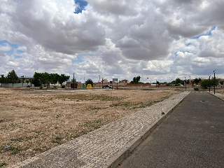 BOLAÑOS 13