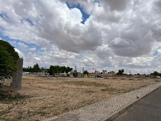 BOLAÑOS 16