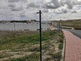 BALSA 7