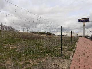 BALSA 10