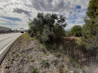 Otros en venta en Sant Joan De Moró