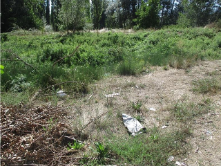 CERVERA-INESTRILLAS.  Polígono 6 Parcela 318. EL ARIZO 8