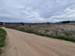 4 LA REVILLA 6