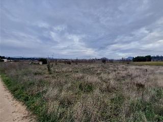 4 LA REVILLA 8