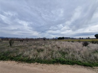 4 LA REVILLA 9