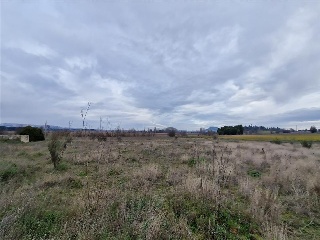 4 LA REVILLA 11