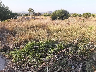 PARAJE RUBAU 7