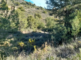 ERMITA SAN CRITOBAL 5
