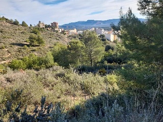 ERMITA SAN CRITOBAL 6