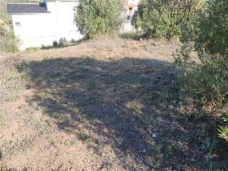 SAU-3 LOS CARACOLILLOS 6