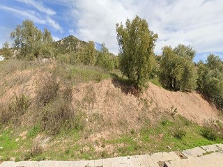SAU-3 LOS CARACOLILLOS 9