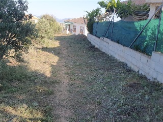 SAU-3 LOS CARACOLILLOS 16