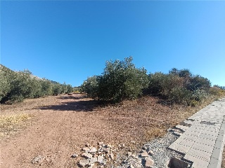 SAU-3 LOS CARACOLILLOS 9