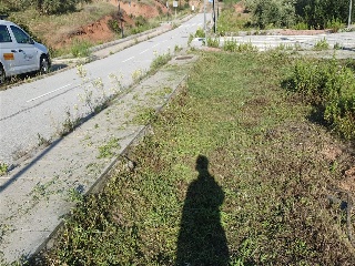 SAU-3 LOS CARACOLILLOS 4