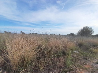 PARAJE BUSTALETS, POLIGONO 4, PARCELA 6