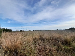 PARAJE BUSTALETS, POLIGONO 4, PARCELA 8