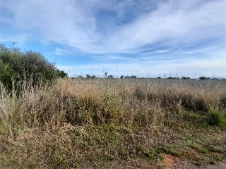 PARAJE BUSTALETS, POLIGONO 4, PARCELA 9