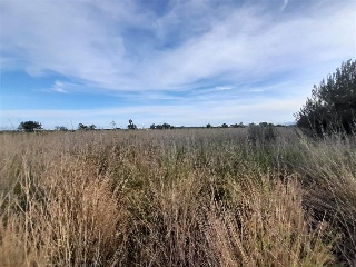 PARAJE BUSTALETS, POLIGONO 4, PARCELA 10