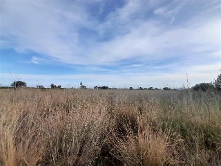 PARAJE BUSTALETS, POLIGONO 4, PARCELA 12