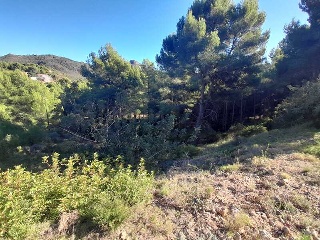 REFUGIO 2